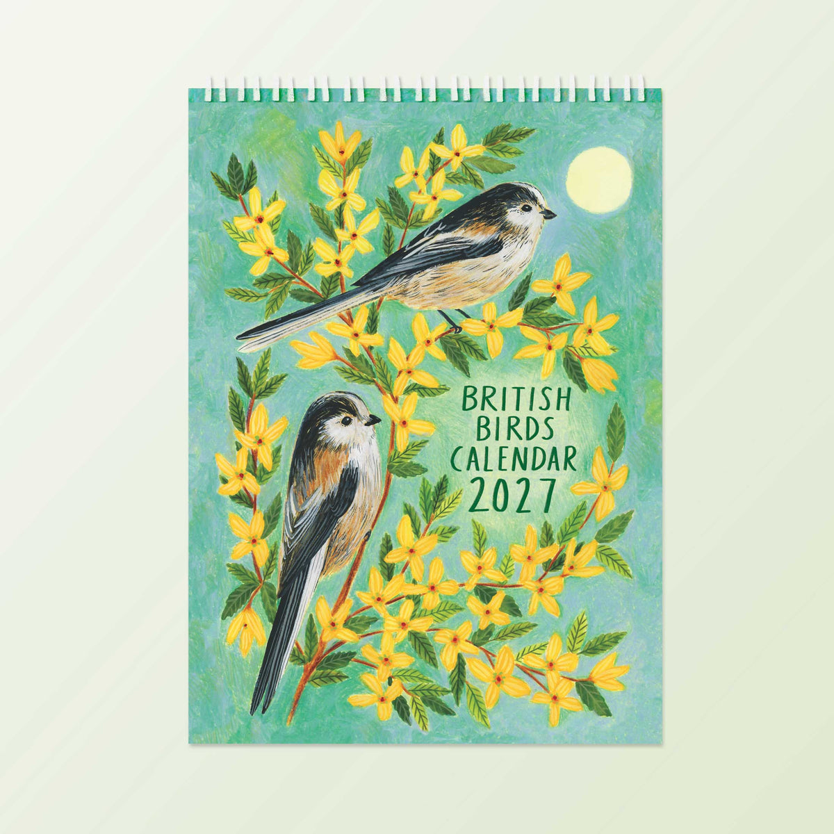 ** PRE-ORDER! ** British Garden Birds Calendar 2027