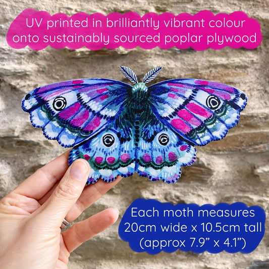 Emperor Moth Wooden Wall Art Decoration