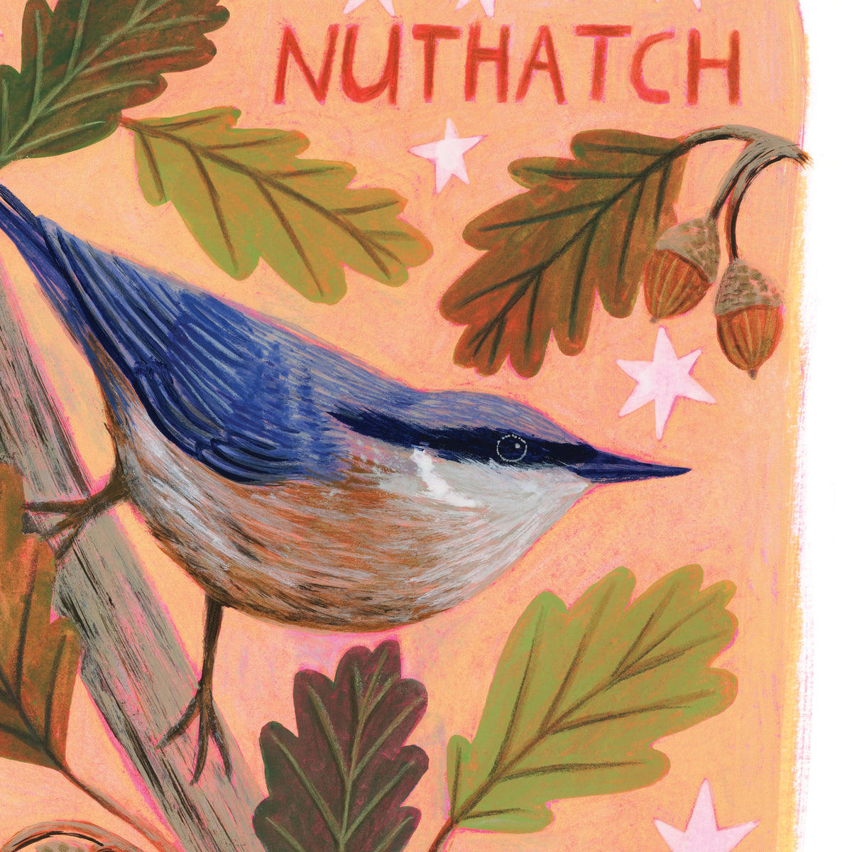 Nuthatch Bird Wall Art Print
