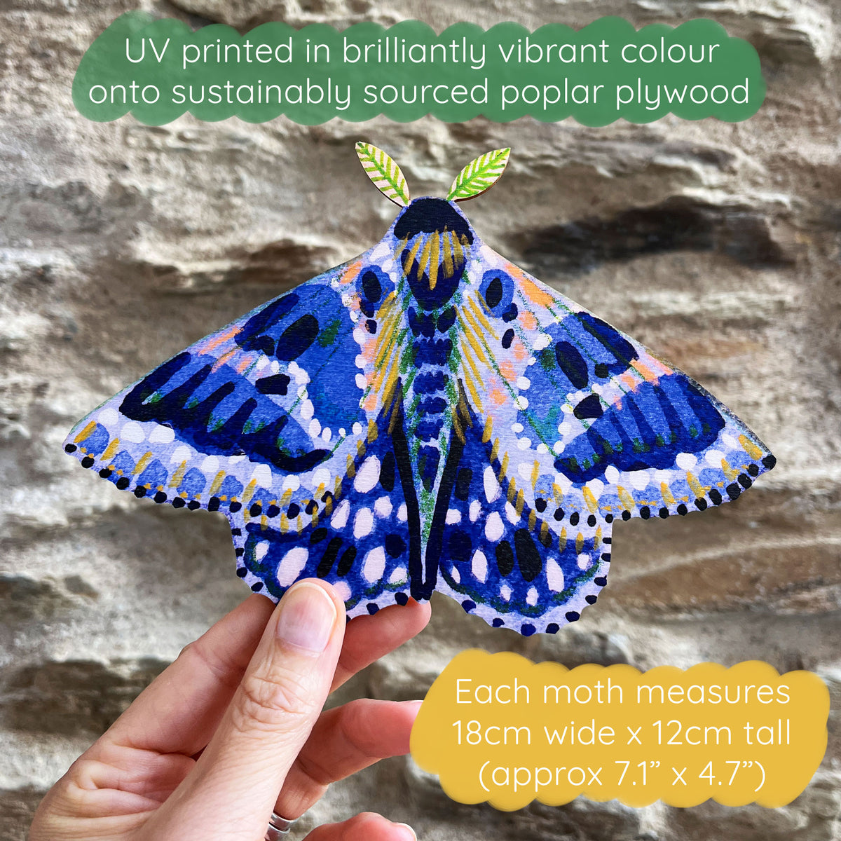 Colourful Moth Wooden Wall Art Decoration