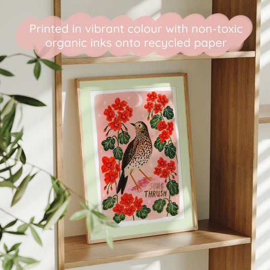 Song Thrush Bird Art Print