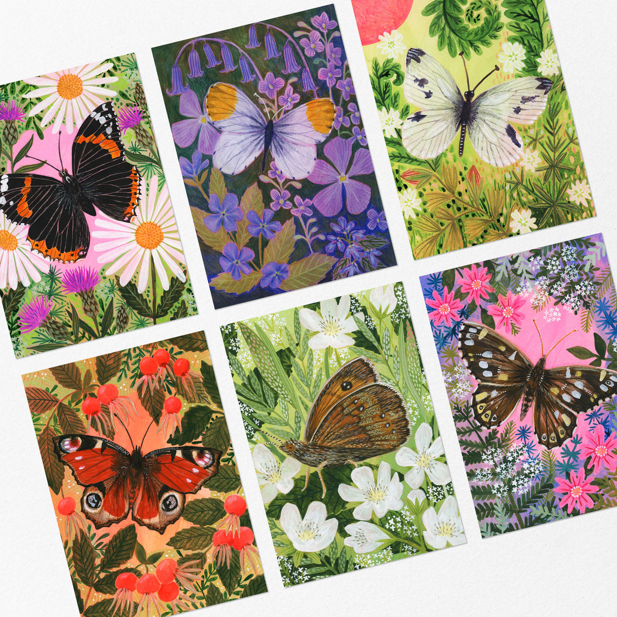 Butterflies and Florals Postcard Set