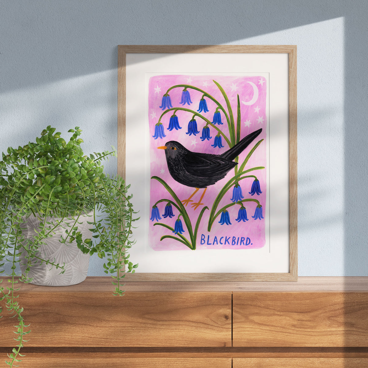 Blackbird Bird Art Print