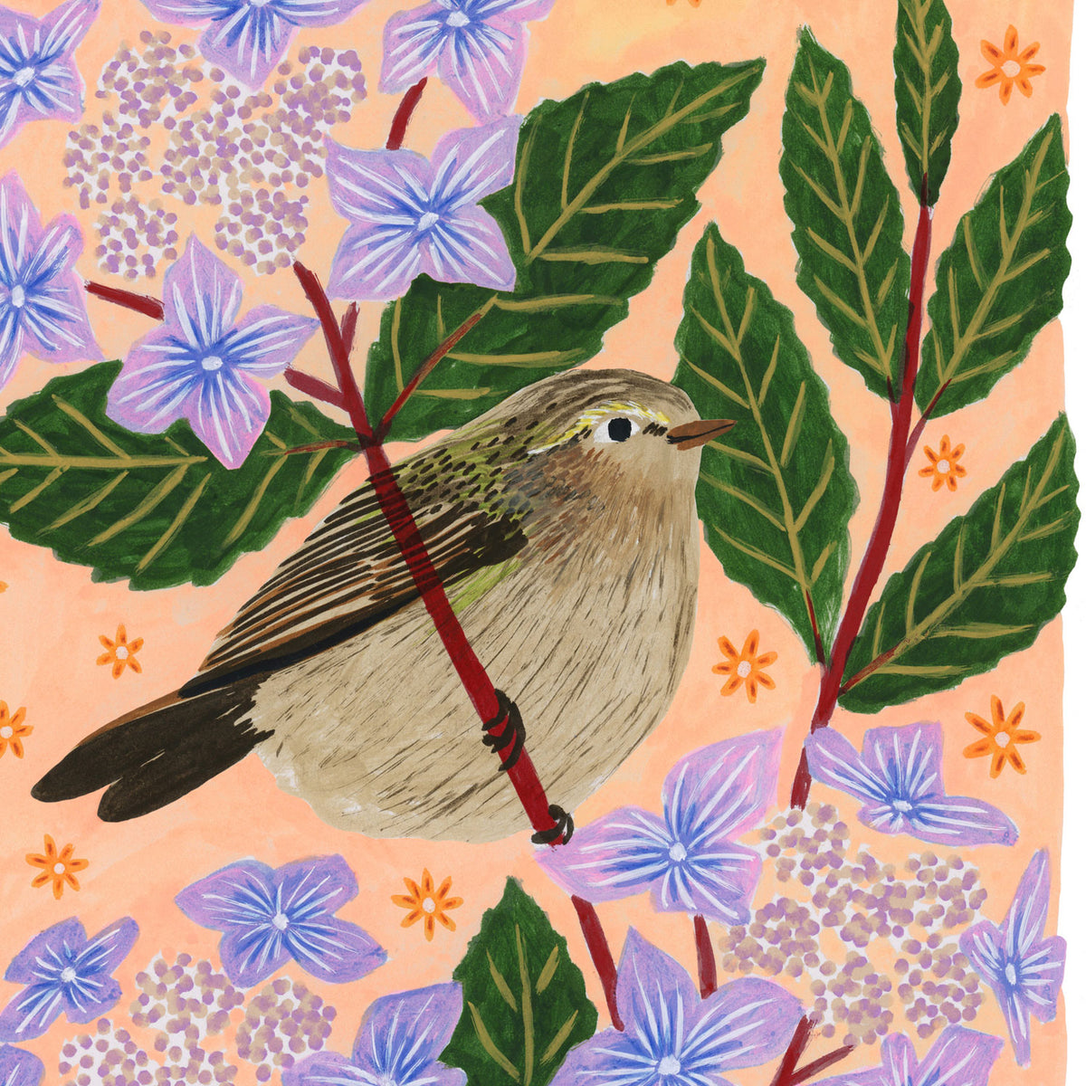 Chiffchaff Bird Art Print