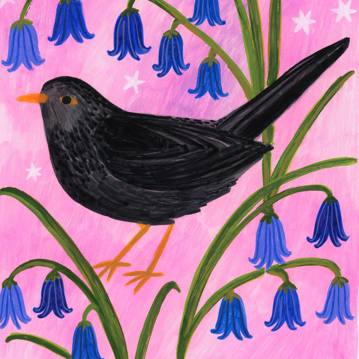 Blackbird Bird Art Print