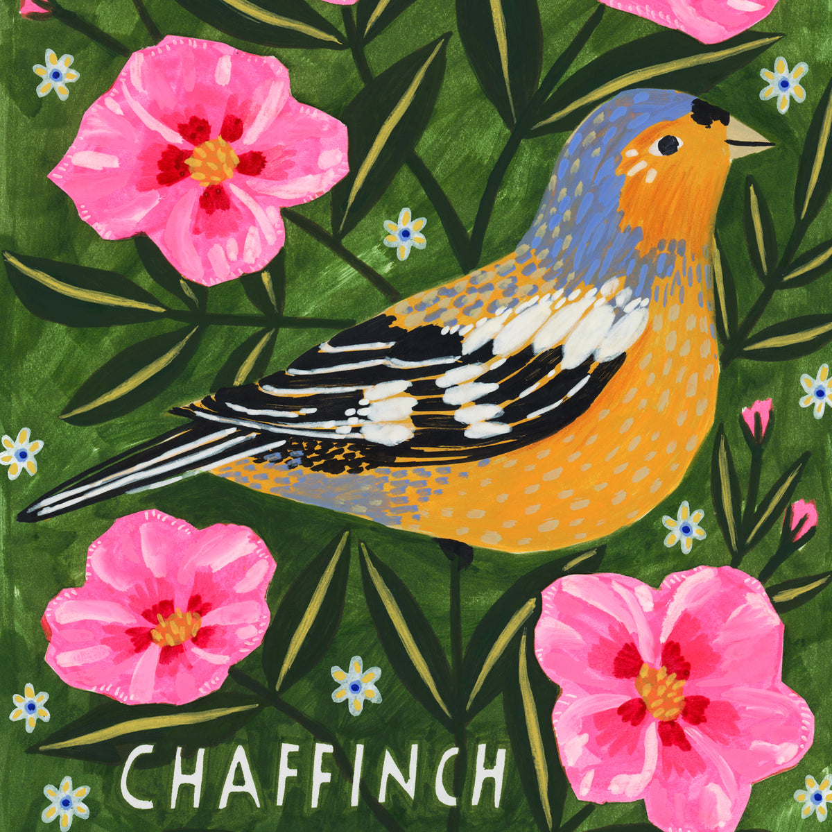 Chaffinch Bird Art Print