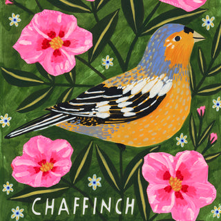 Chaffinch Bird Poster
