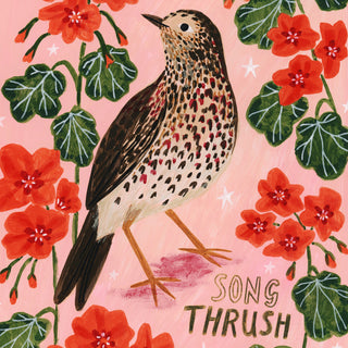 Song Thrush Bird Poster