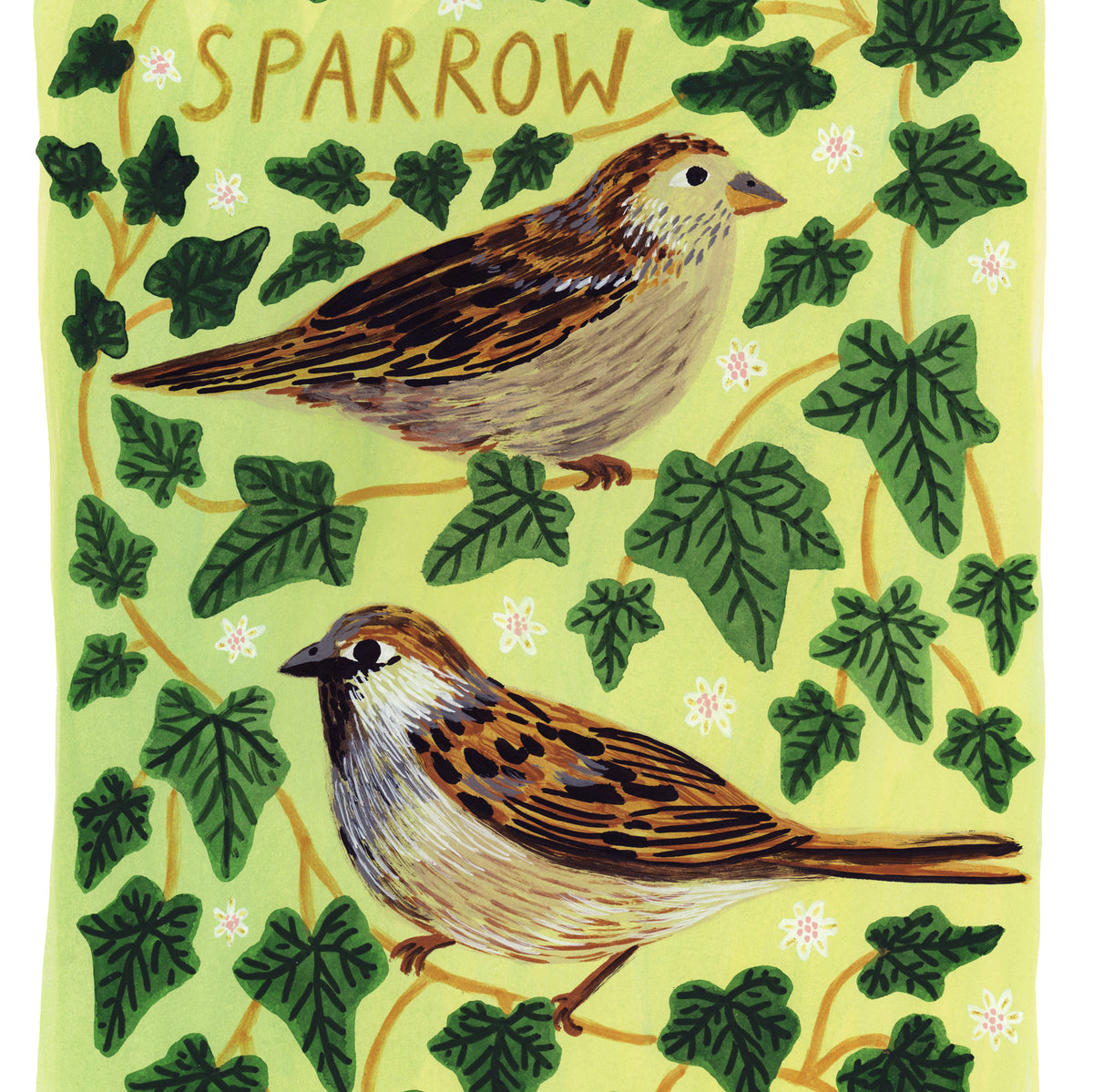 Sparrow Bird Art Print