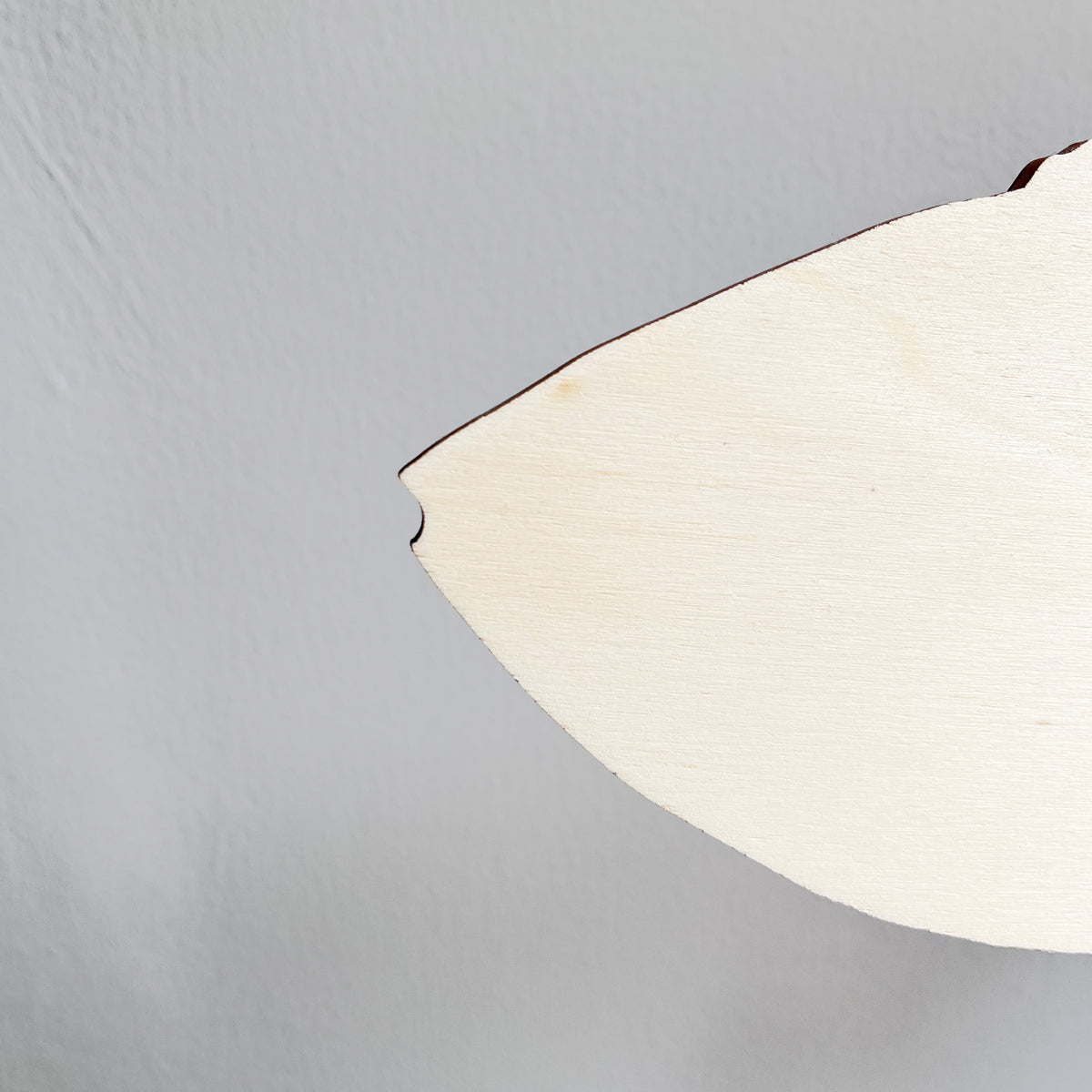 Large Wooden Fish Wall Decoration