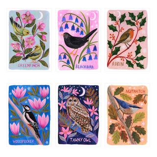 Bird Art Print Bundle