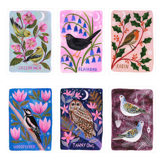 **NEW!** Bird Art Print Bundle