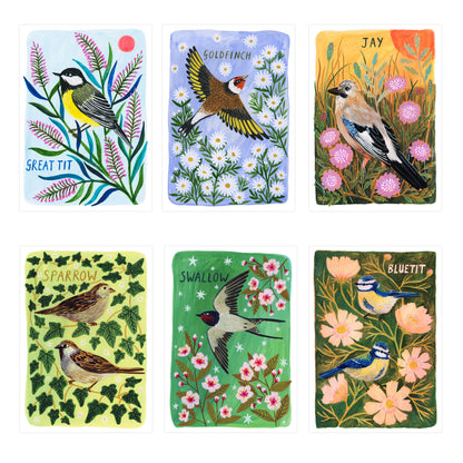 Bird Art Print Bundle