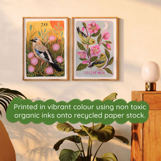 Greenfinch Painting Bird Art Print