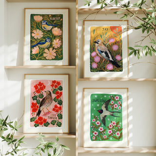 **NEW!** Bird Art Print Bundle