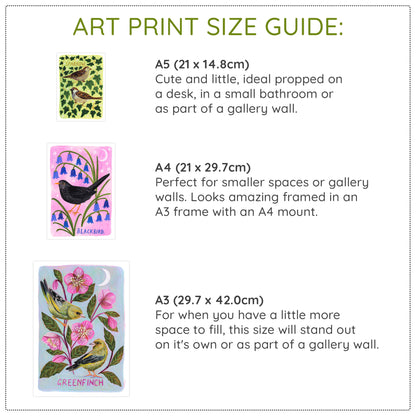 Bird Art Print Bundle