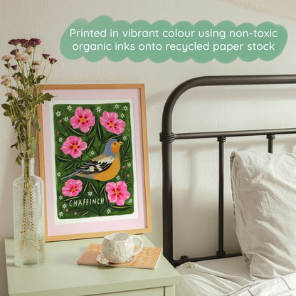 Chaffinch Bird Art Print