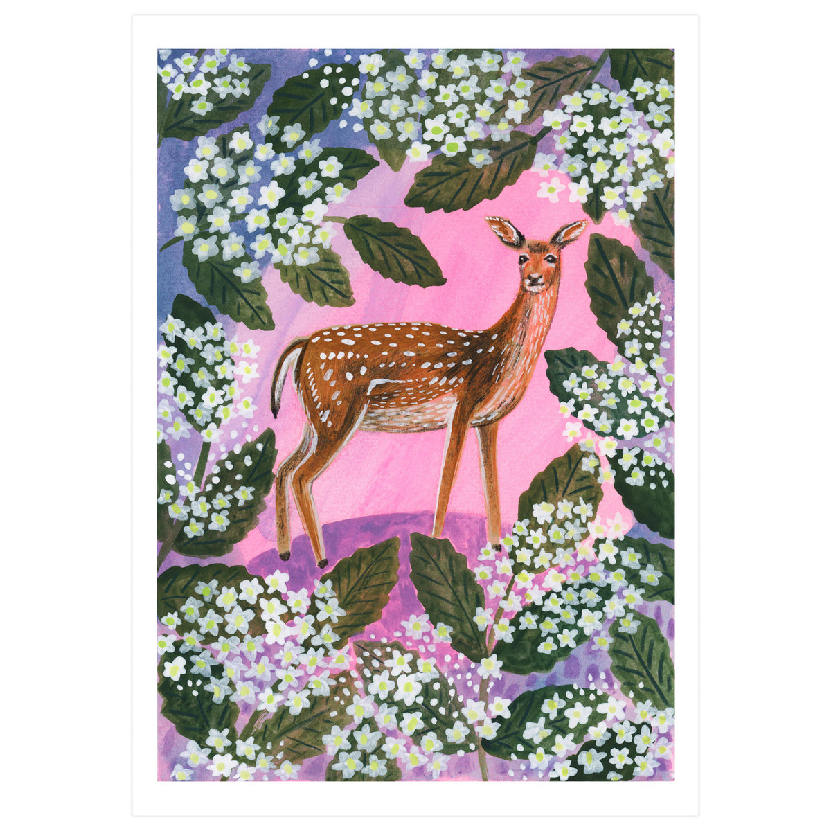 Fallow Deer and Elderflower Art Print
