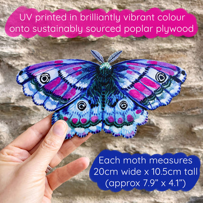 Emperor Moth Wooden Wall Art Decoration