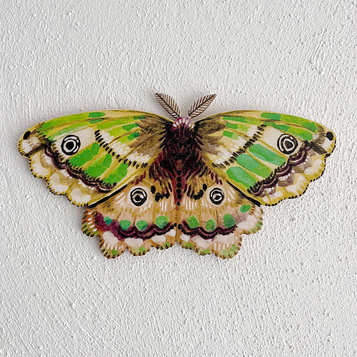 Emperor Moth Wooden Wall Art Decoration