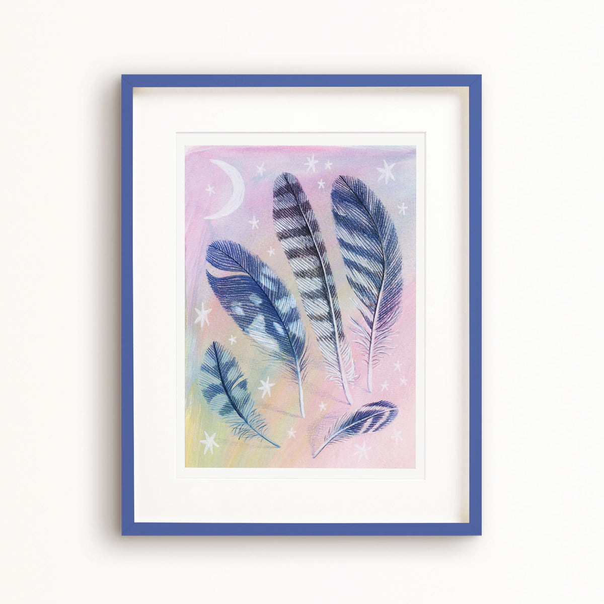 Feather Collection Art Print