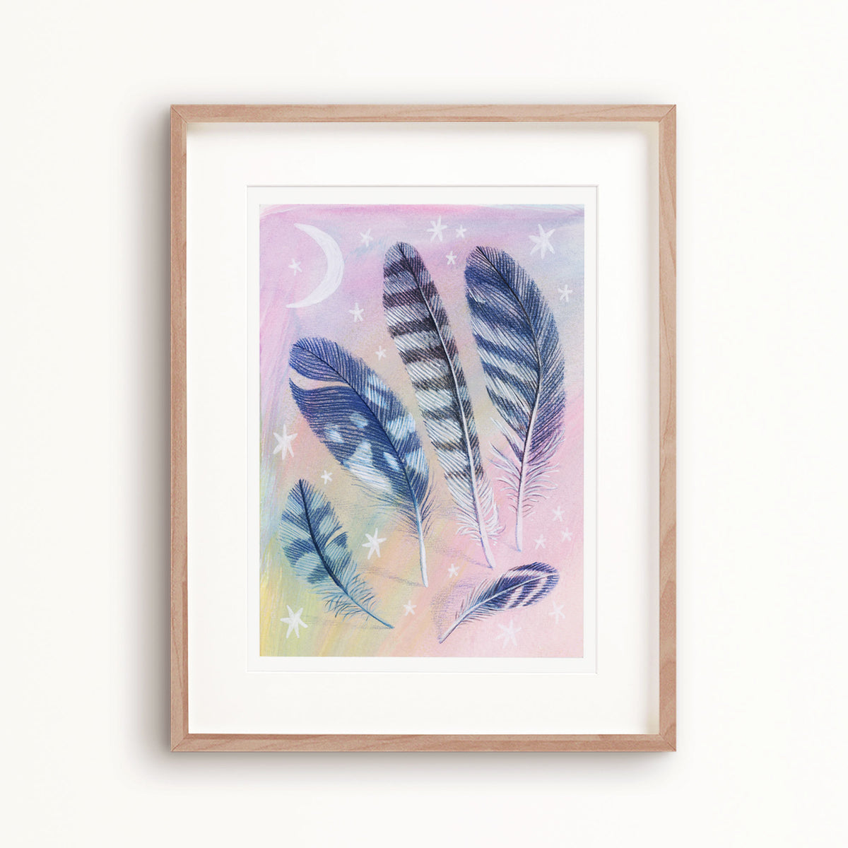 Feather Collection Art Print