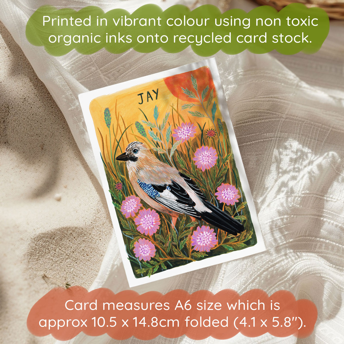 Jay Bird Greetings Card
