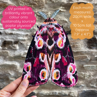 Large Moth Wooden Wall Art Decoration