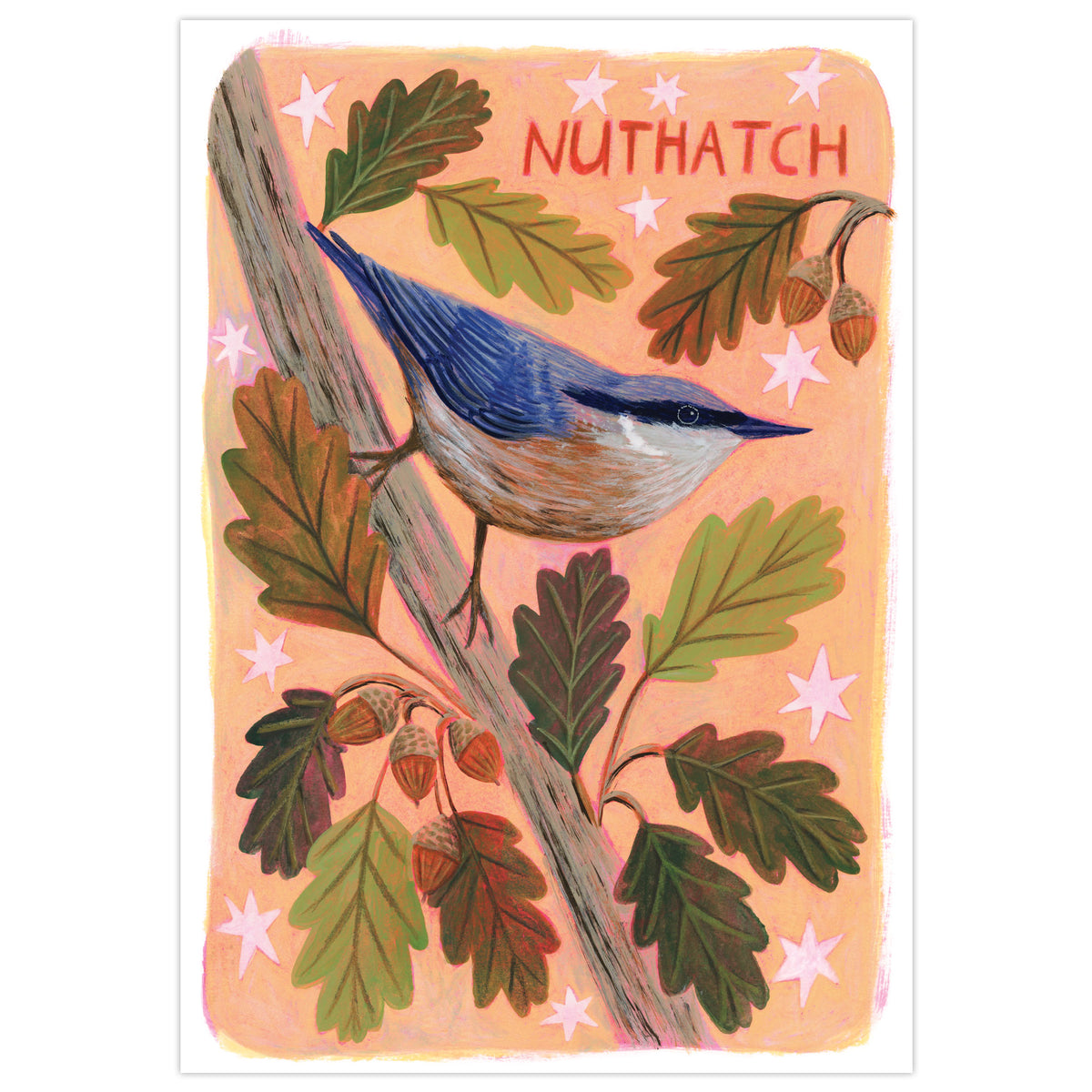 Nuthatch Bird Wall Art Print
