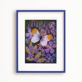 **NEW!**Orange Tip Butterfly Painting Art Print