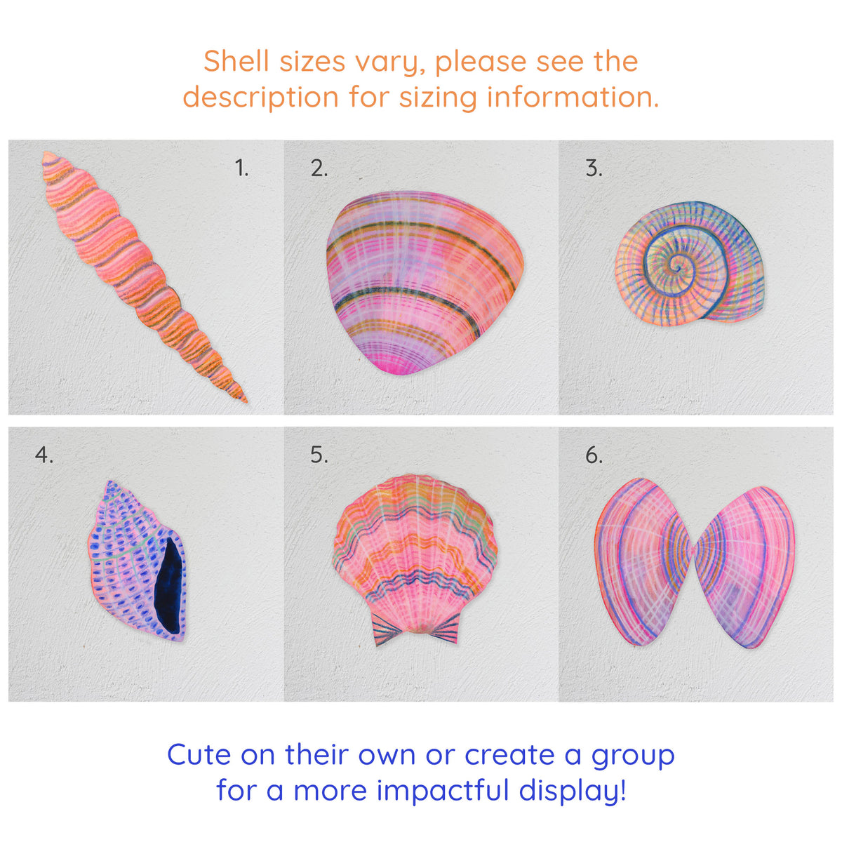Wooden Shell Wall Art Decorations