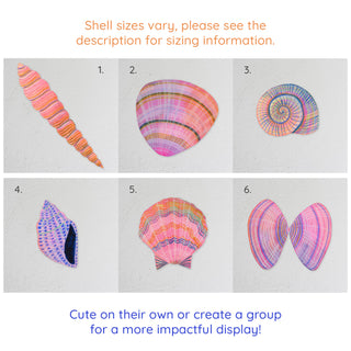 Wooden Shell Wall Art Decorations
