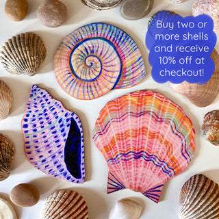 Wooden Shell Wall Art Decorations