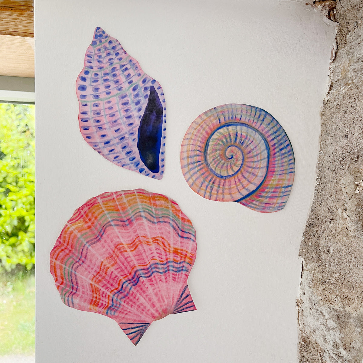 Wooden Shell Wall Art Decorations
