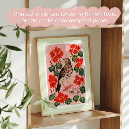 Song Thrush Bird Art Print