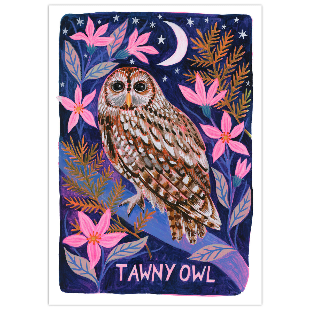 Tawny Owl Painting Art Print