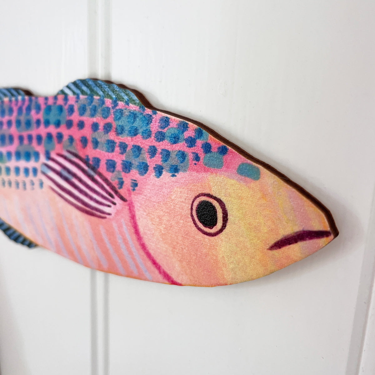 Close up of Colourful mackerel fish decorations by Lee Foster-Wilson