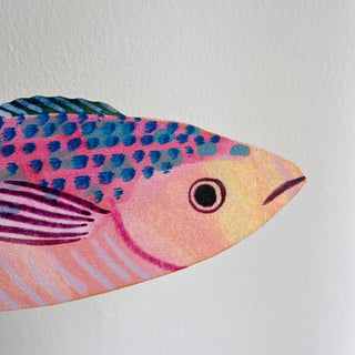 Close Up of Colourful mackerel fish decorations by Lee Foster-Wilson