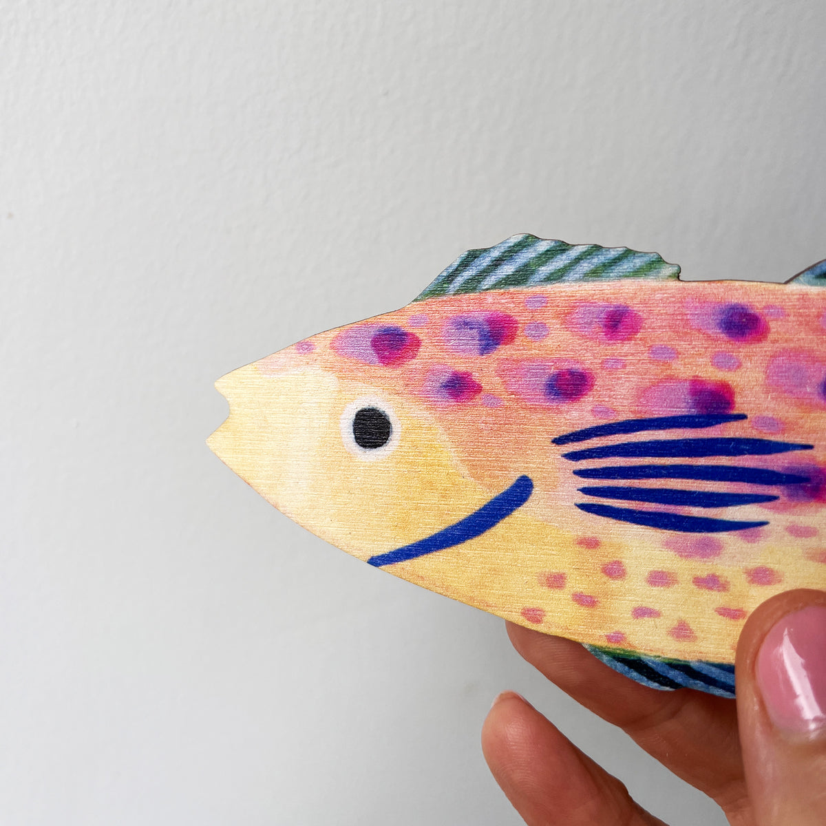 Close up of colourful fish decorations by Lee Foster-Wilson