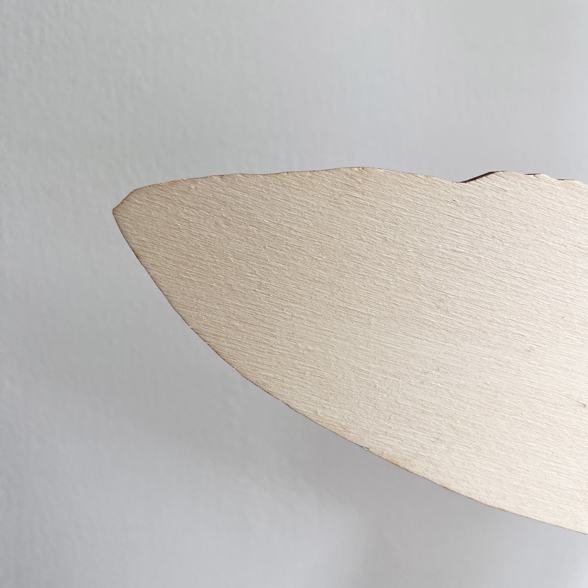 Wooden Mackerel Wall Art - Pink
