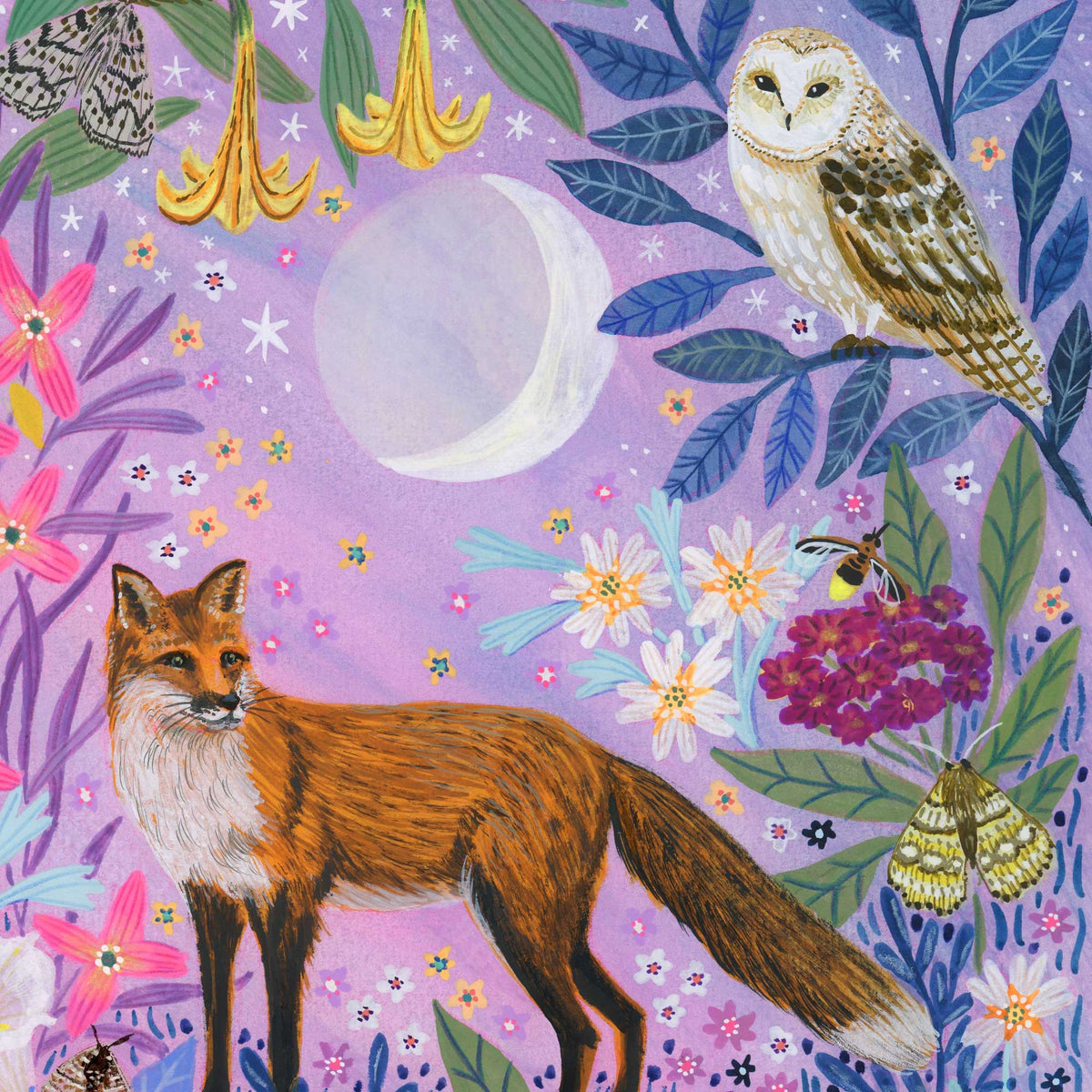 **NEW!** Night Time Fox Art Print