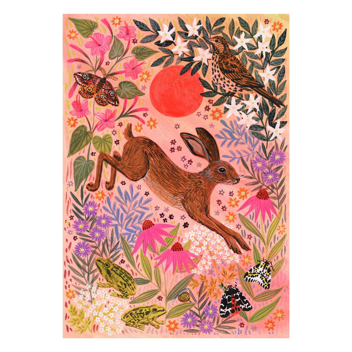**NEW!** Sunset Hare Art Print