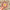 **NEW!** Wooden Sun, Moon and Stars Wall Decorations - Peach and Green
