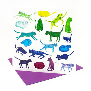 *NEW!* Rainbow Cats Card