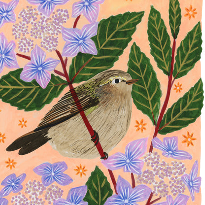 Chiffchaff Bird Art Print