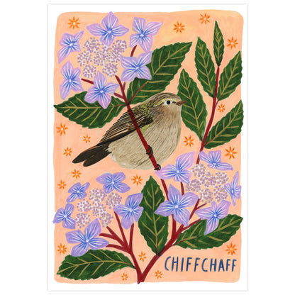 Chiffchaff Bird Art Print