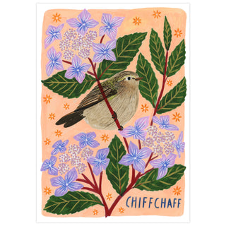 Chiffchaff Bird Art Poster