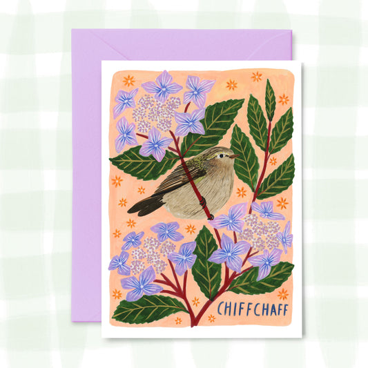 Chiffchaff Greetings Card