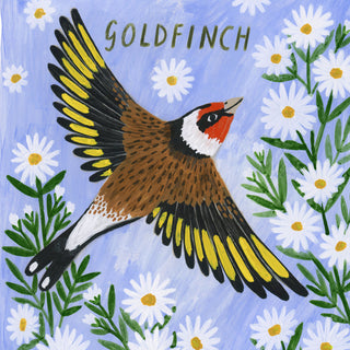 Goldfinch Bird Art Poster