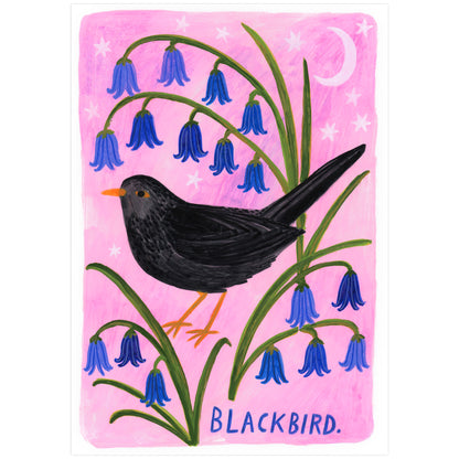 Blackbird Bird Art Print